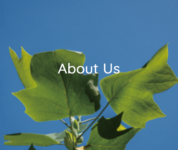 about-us-huayao-photovoltaic-technology-co-ltd